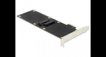 Delock PCI Express x1 Card for 2 x SATA HDD / SSD
