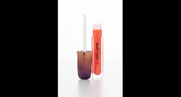 Pierre Cardin Shimmering Lipgloss