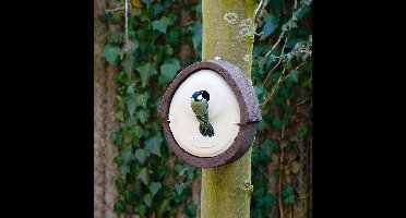 CJ Wildlife Nestkast - Aanbevolen door de Vogelbescherming Nederland - Alicante - 28mm - Nestkastje voor o.a. Pimpelmees & Zwarte Mees - Woodstone Vogelhuisje - FSC-gecertificeerd - Bruin