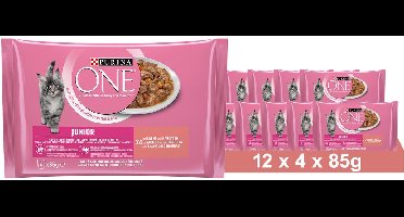 PURINA ONE Junior Kittenvoer nat met zalm & wortelen, (12 x 4 x 85g)