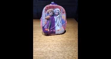 Frozen 3 D rugzak 33x29x11.50cm