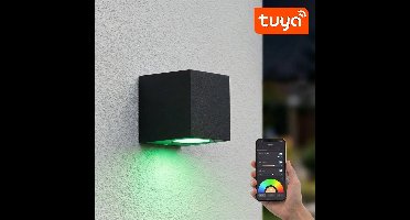 SMART LED Wandlamp | Tuya / WiFi | San diego | Incl. lichtbron | Zwart