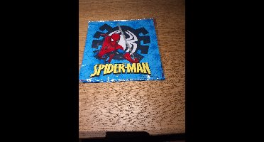 Spiderman 6 kinderzakjes 28x28cm