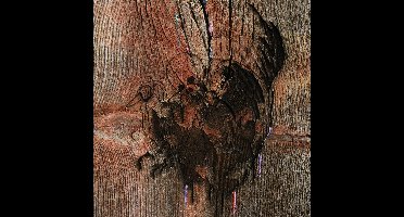 Enter The Slasher House