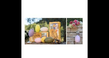 Zeephouder / Zeepstang RVS met Zeepbol Lavendel