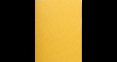 Exacompta 25x Map met 3 kleppen in glanskarton 400gm2 - A4 - Geel - 56404E