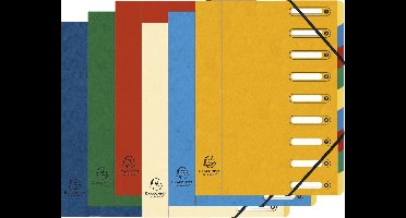 Exacompta 6x Sorteermap HARMONIKA®- met elastieken en uitgesneden vensters- in glanskarton - 9 indelingen - Geassorteerd - 5309E