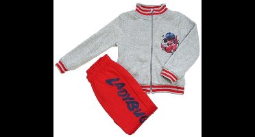 Miraculous Ladybug Set - Joggingpak - Trainingspak - 2-delig - grijs/rood - maat 116/122 (7 jaar)
