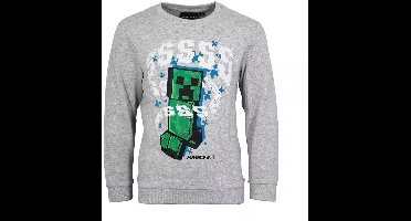 Minecraft Sweater - Maat 128 - 8 jaar