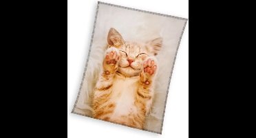 Fleece deken dromerige kat 130 x 170 cm