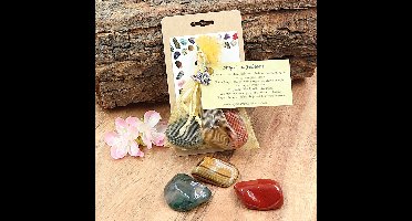 Buideltje Angst & Fobieën