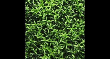 Buitengewoon de boet - Kunstplanten mat 50x50 cm rozemarijn donker...