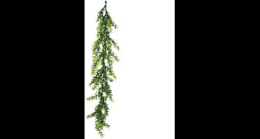 Buitengewoon de boet - Asparagus 75 cm kunsttak