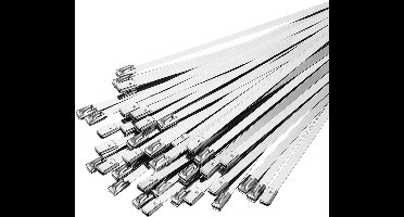 RVS kabelbinders 100-pack