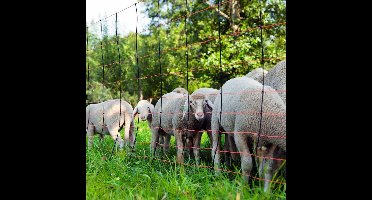 Ako Titan Schapennet Enkele Pen 90cm