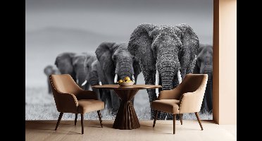 Peel & stick Fotobehang - Elephant Dreamscape Serenade - 250x100 centimeter
