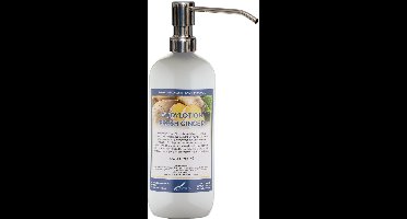 Bodylotion Fresh Ginger 1 Liter met luxe RVS zilverkleurige pomp - stijlvolle en duurzame uitstraling
