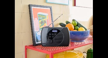 DRAAGBARE RADIO DAB+ & FM RT350DAB THOMSON