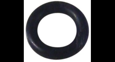 MS-0019105 Krups O-Ring