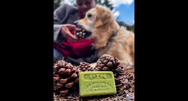 4x Savon de Marseille Zeep Pin (Dennen) – 125g – Met Karitéboter – Plantaardig & Handgemaakt – Vegan – Zeepengeurboetiek