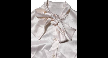Ascot Collar Long Sleeve Silk Blouse with Button Closure Wo - White