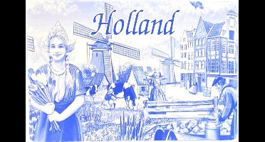 Magneet Holland Delfts blauw