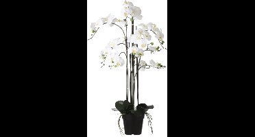 Mica Decorations Orchidee bloem kunstplant - parel wit - H97 x B19 cm