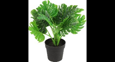 Countryfield Kunstplant Monstera plant in bloempot - Groen - 15 x 28 cm