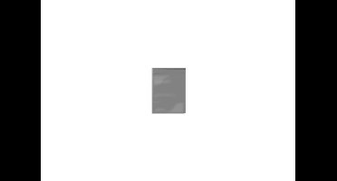 Gripzakjes Zwart Transparant Gekleurd 1000 Stuks 55 x 65 - 90 Micron