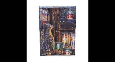 Nemesis Now Notitieboek - Lisa Parker - Magical Emporium - 17cm - A5-Formaat - Multicolours