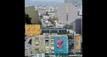 Nilüfer Yanya - Painless (LP)