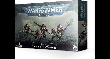Necron Lychguard / Triarch Praetorians