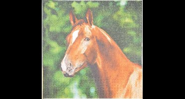 Esschert design papieren servetten - 20x - paard - 33 x 33 cm