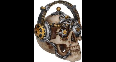 Nemesis Now Beeld/figuur Techno Talk Small Schedel Multicolours