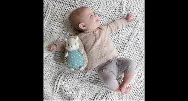 Pluche mascotte Bright Starts Friend Egel BS 12374