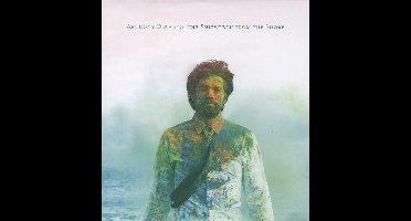 The Shipwreck From The Shore (LP)
