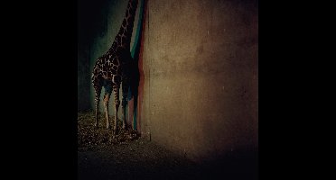 Alien Ensemble - Alien Ensemble 2 (CD)