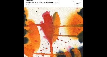 Sunroof - Electronic Music Improvisations Vol. 1 (CD)