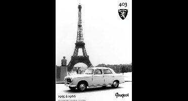 metalen wandbord Peugeot 403 eiffeltoren 30x40 cm