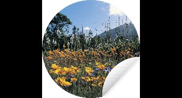 WallCircle - Muurstickers - Behangcirkel - Bloemen - Natuur - Kleur - ⌀ 30 cm - Muurcirkel - Zelfklevend - Ronde Behangsticker