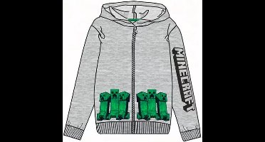 Minecraft Hoodie - sweater - Mele grijs - Maat 152 cm / 12 jaar
