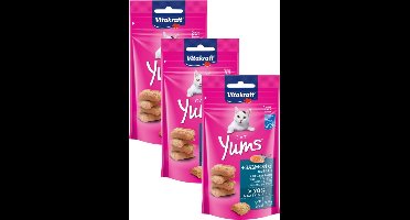 Vitakraft Cat Yums - Kat - Snack - Zalm - 3 x 40 g