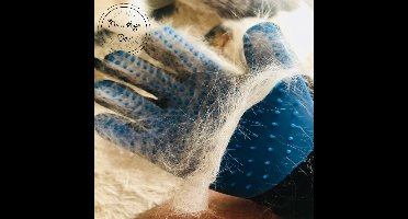 Vachtverzorgings handschoen - Dierenvacht handschoen - Haren - Vachtverzorging - Vachtborstel - 2 paar handschoenen