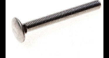 Kelfort Slotbout RVS A2 m6 x 80mm