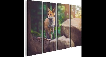 Artaza Canvas Schilderij Vierluik Vos in het Bos bij Stenen - 80x60 cm - Wanddecoratie Woonkamer - Schilderijen - Muurdecoratie