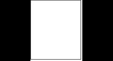 Falcon Eyes Achtergrondpapier 01 Arctic White 1,35x11 m