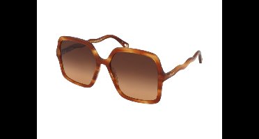 Zonnebrillen Chloe CH0086S 002