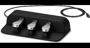 Casio SP-34 - Sustain pedaal