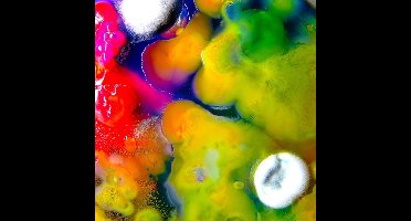 Guerilla Toss - Famously Alive (MC)