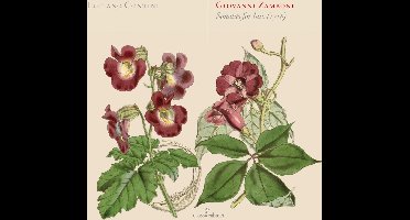 Luciano Contini - Zamboni: Italian's Last Lutenist: Works (1718) (CD)